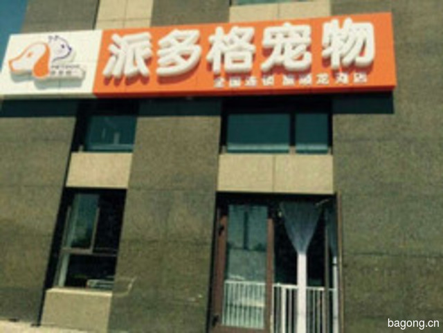 派多格宠物 封面大图