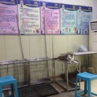 爱犬宠物门诊 封面小图