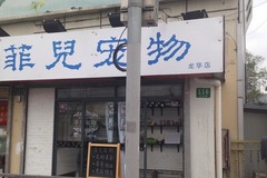 菲兒宠物1