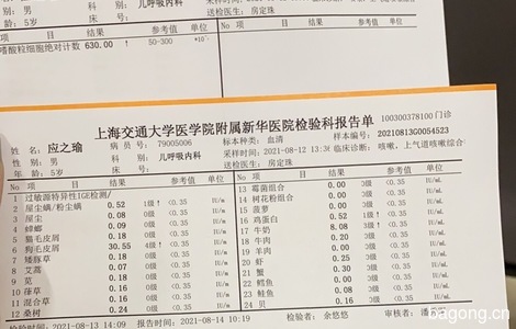 上海地区金毛求领养，可定期支持狗粮6