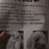 南宁安吉大道屯里村新蓝天幼儿园...