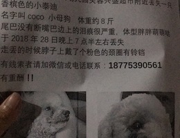 南宁安吉大道屯里村新蓝天幼儿园...
