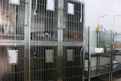 爱馨宠物医院环境5