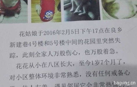 寻狗启示、2016年2月5日下午5点...