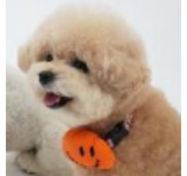 Puppy Gallery A+胸背配套玩具