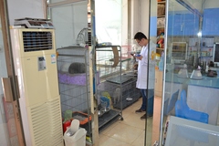 北京宠康家人动物医院3
