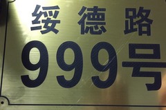 上海卡门犬舍4