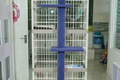 ZOO PET SHOP6