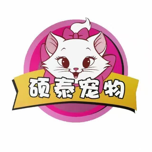喵宠爱宠物店  封面大图