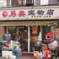 另类宠物店 封面小图