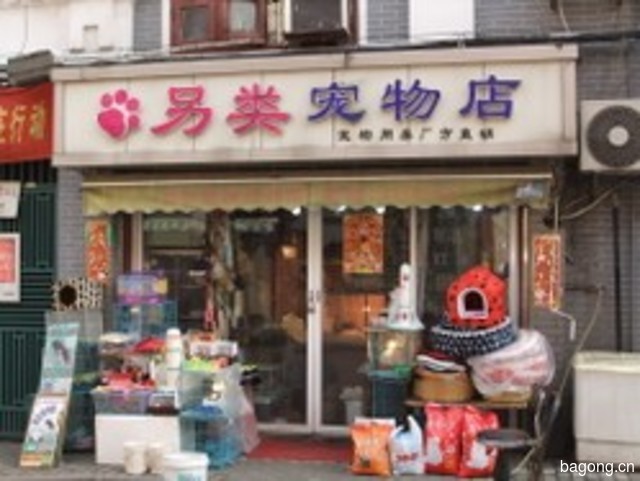 另类宠物店 封面大图