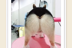 宠物派理工东苑分店4