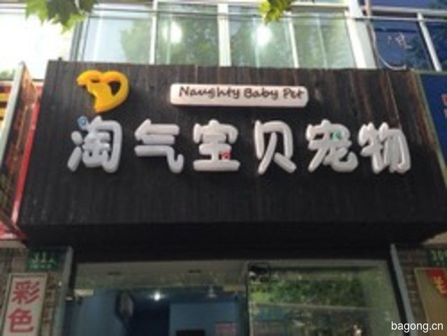 淘气宝贝宠物店 封面大图