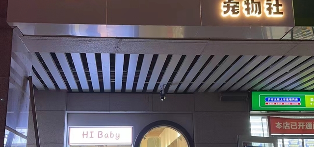 Hi Baby宠物社2