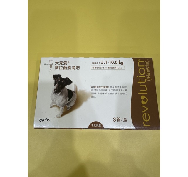 大宠爱犬用5.1～10