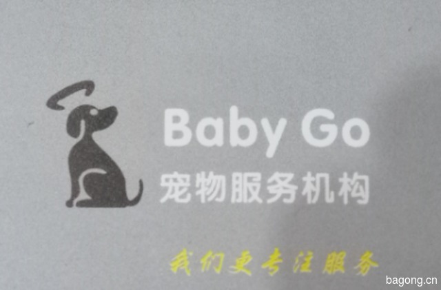 Baby Go宠物生活馆 封面大图