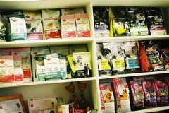 艾特它宠物店2