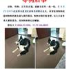 麻烦大家见到联系我，定重谢。 1...