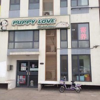 Puppy Love宠物店 封面小图