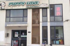 Puppy Love宠物店4