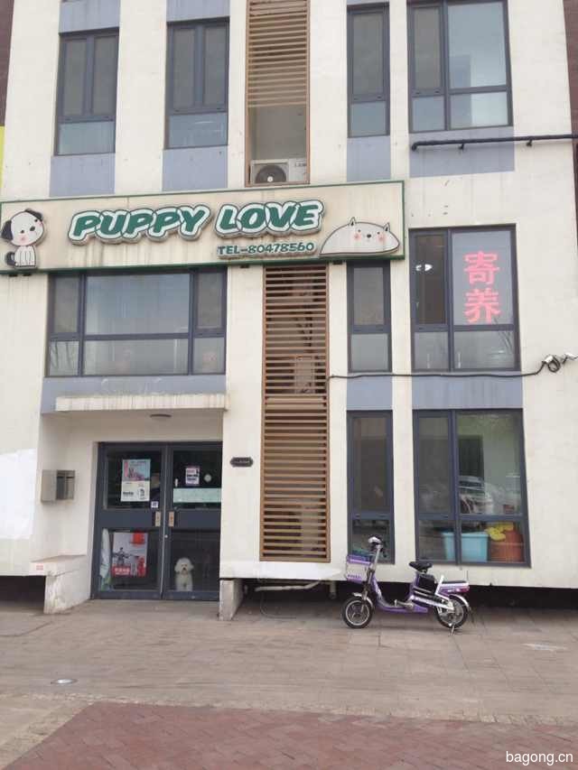 Puppy Love宠物店 封面大图