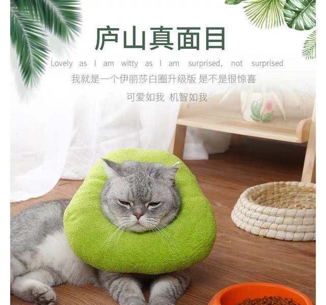 伊丽莎白圈猫咪项圈软头套