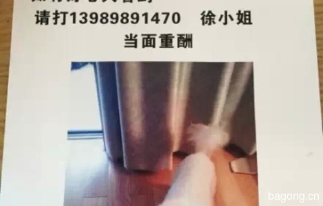 白色比熊
联系方式：1398989147...