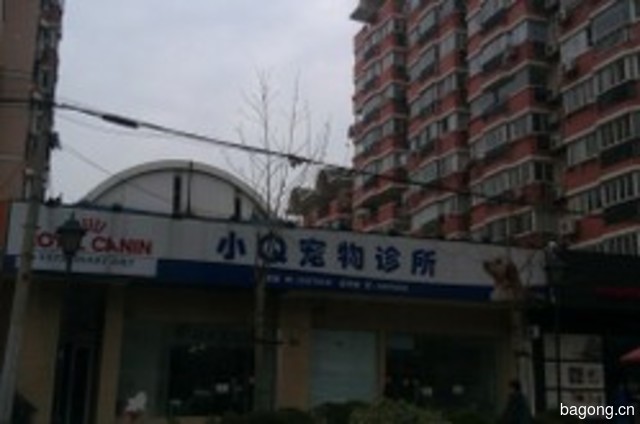 宠爱有家(虹口店) 封面大图