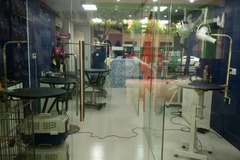 艺菲宠物店5