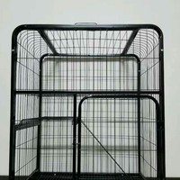 蓝猫找个好人家