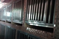 芭比城堡宠物会所5