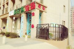 狗仔队宠物沙龙9