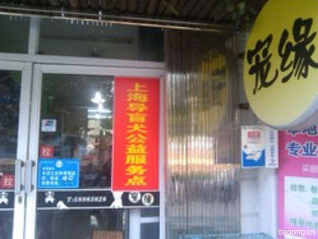 宠缘宠物店 封面大图