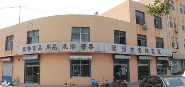 滨州市宠物医院0