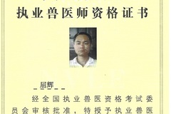 2011年获得执业兽医师证