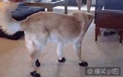 ：这鞋子，真尼玛难受。