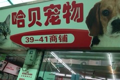 哈贝宠物乐园0