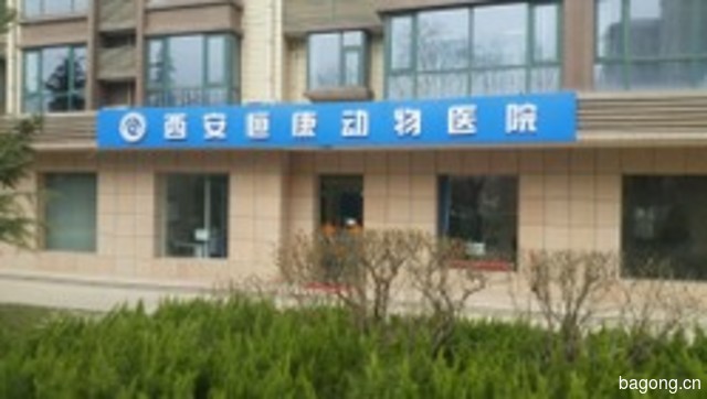 恒康动物医院 封面大图