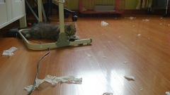 ：User_126783家的宝贝，喜欢就点个赞喽_1417092073