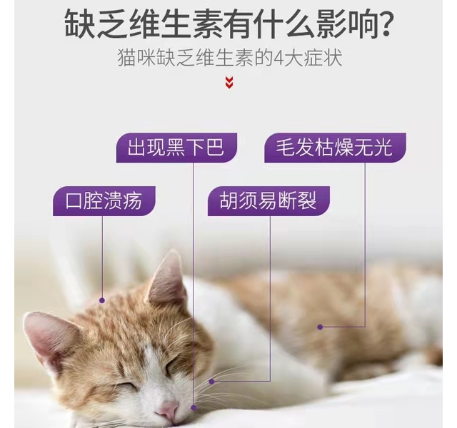 谷登 猫用复合维生素片 200片