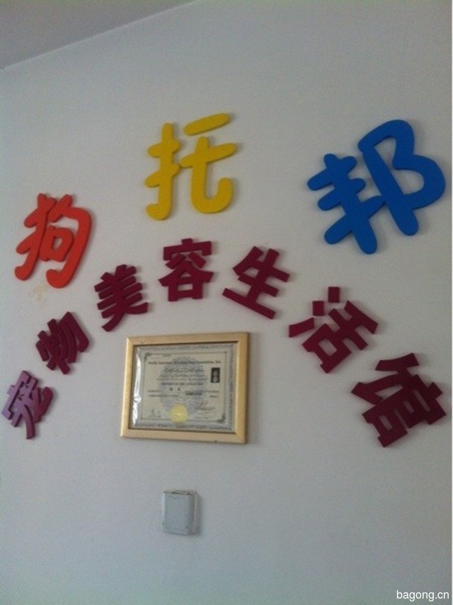 狗托邦 封面大图