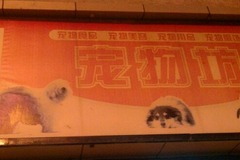 宠物坊0