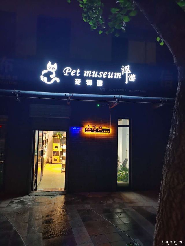 浮游宠物馆 封面大图