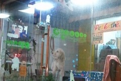 笑天犬宠物店1