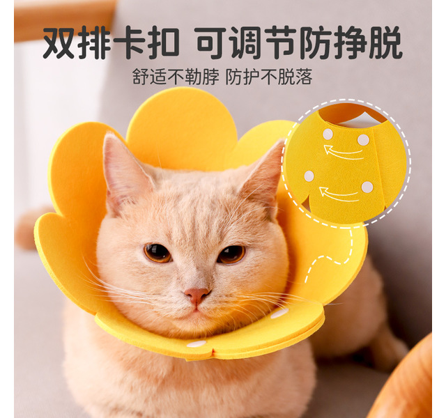 伊丽莎白圈猫绝育项圈猫咪头套防咬围脖伊利莎白圈狗脖圈宠物用品（太阳花S）