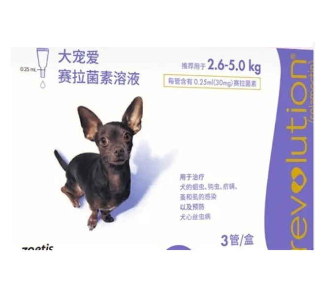 大宠爱 小型犬  2.6-5.0kg