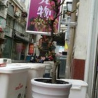 董永宠物店 封面小图