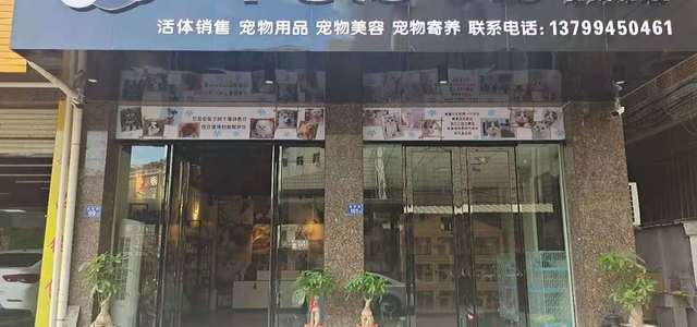 安心宠物店