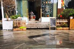 会有猫的店0