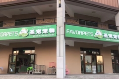 圣宠宠物0